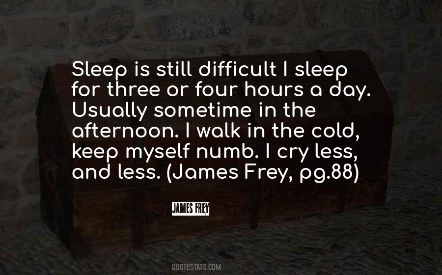 James Frey Quotes #309967