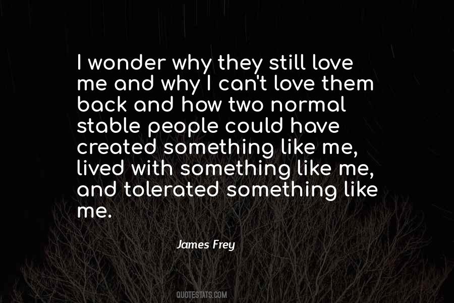 James Frey Quotes #375883