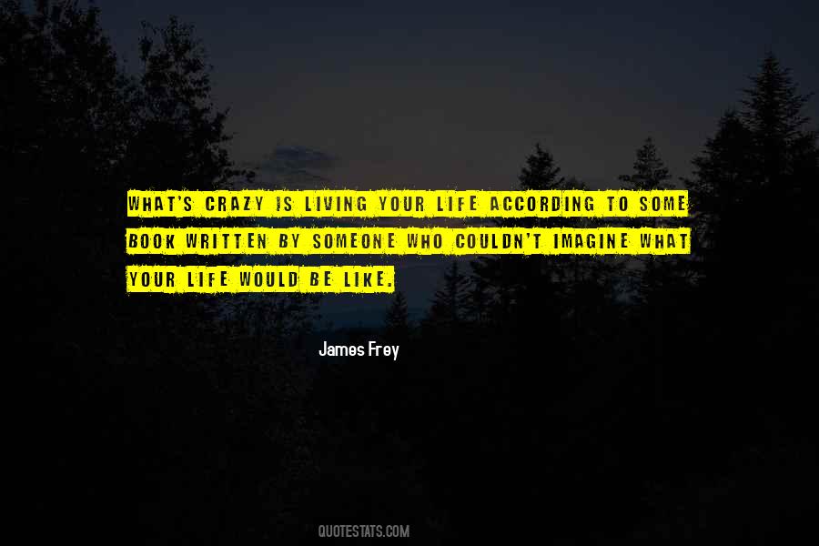 James Frey Quotes #494344