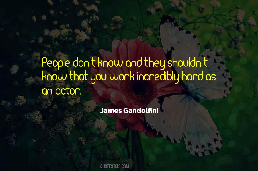 James Gandolfini Quotes #131381