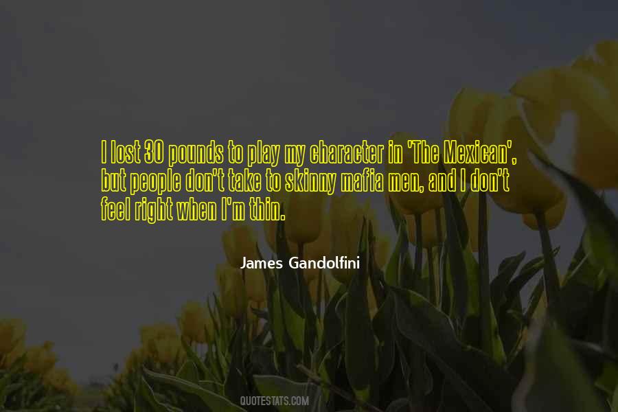 James Gandolfini Quotes #236327