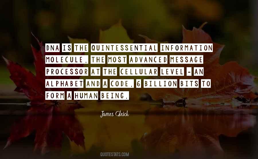 James Gleick Quotes #1326169