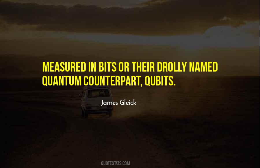 James Gleick Quotes #384536