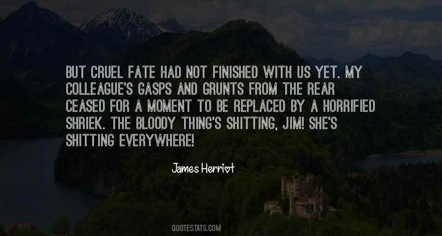 James Herriot Quotes #1297169