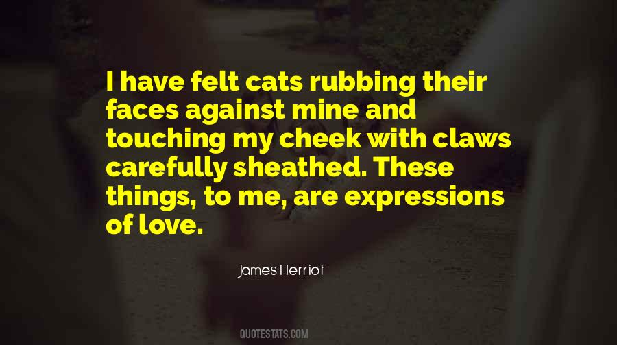 James Herriot Quotes #1624784