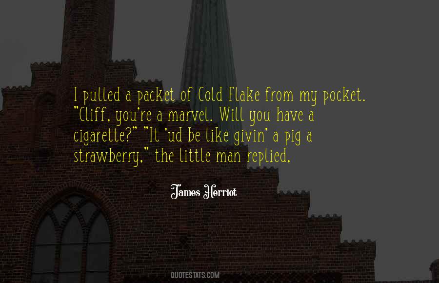 James Herriot Quotes #28426