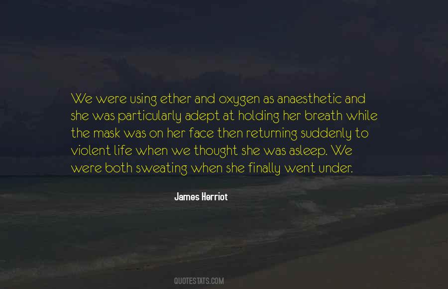 James Herriot Quotes #332118