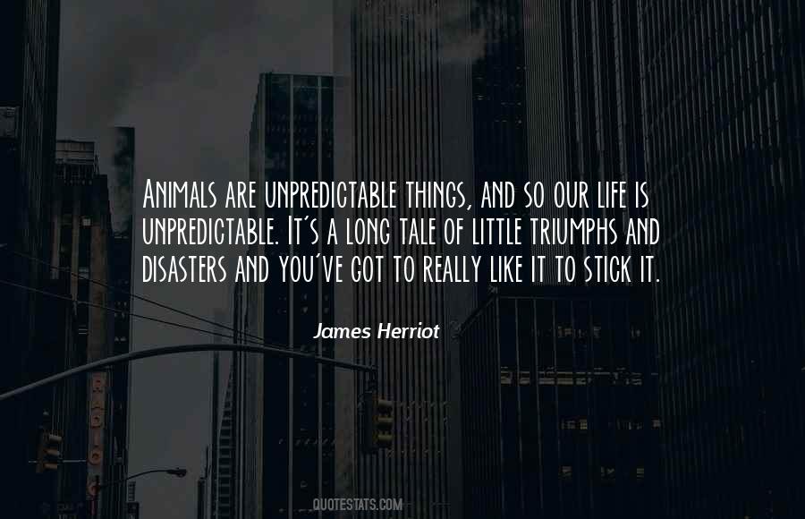 James Herriot Quotes #872335