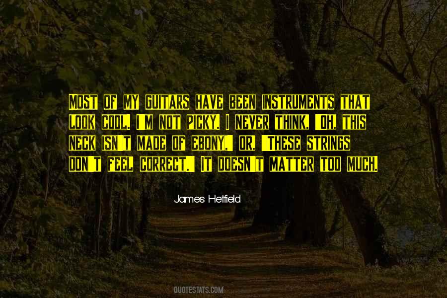 James Hetfield Quotes #1079508