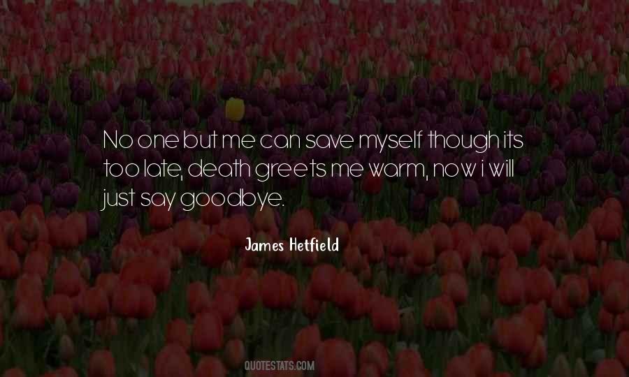 James Hetfield Quotes #316097