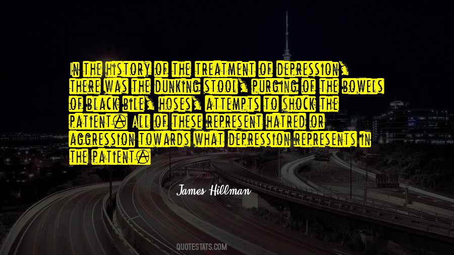 James Hillman Quotes #1148891