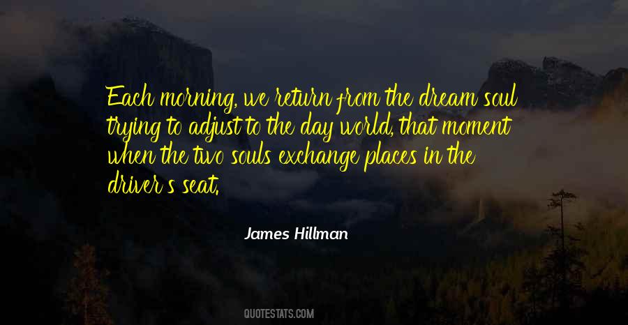 James Hillman Quotes #1243487