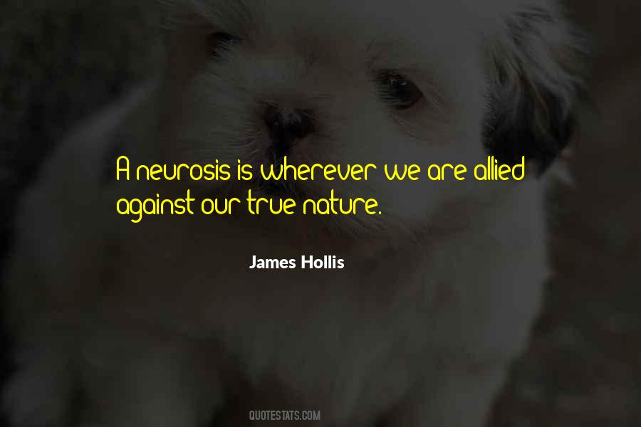 James Hollis Quotes #1785733