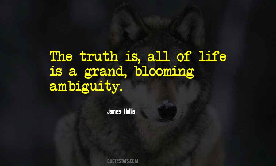 James Hollis Quotes #354311