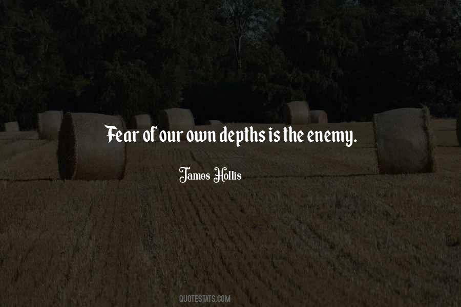 James Hollis Quotes #436664