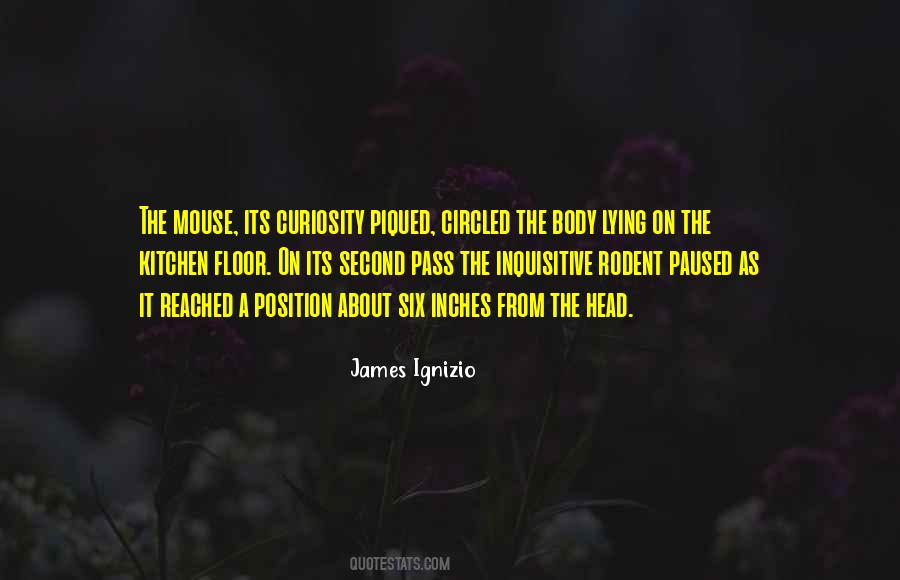 James Ignizio Quotes #1809351 James Ignizio Quotes #1809351