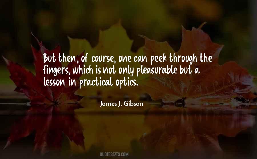 James J. Gibson Quotes #1049328