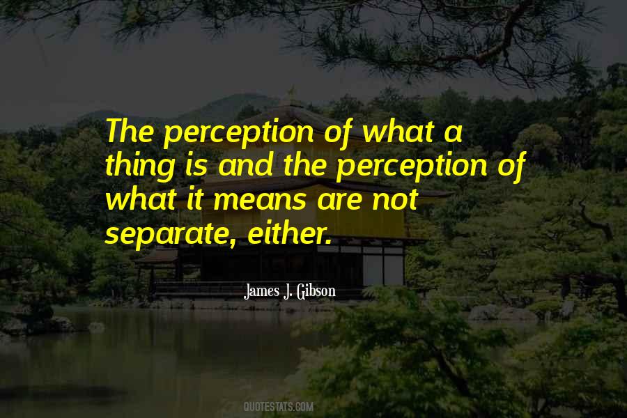 James J. Gibson Quotes #1196875