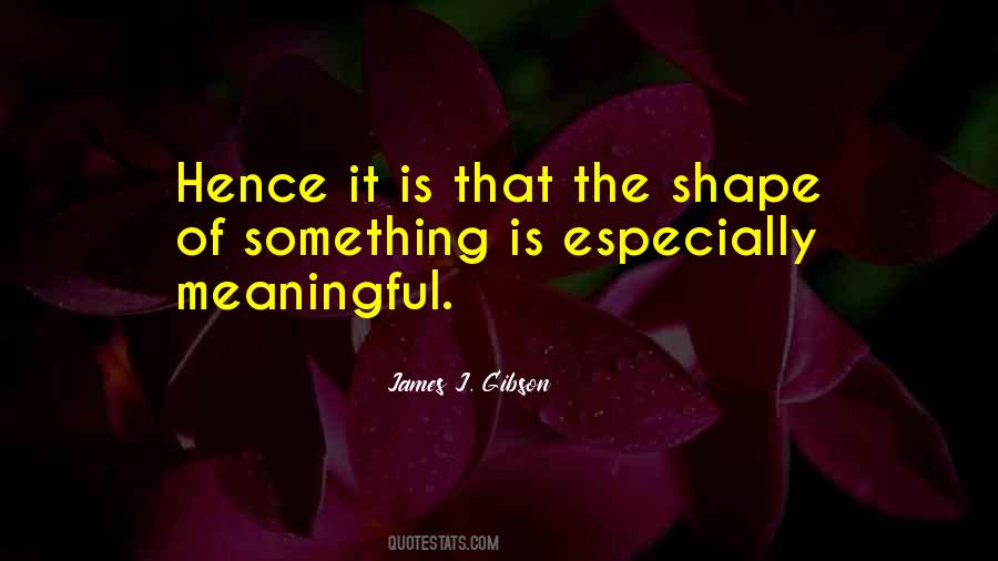 James J. Gibson Quotes #129001