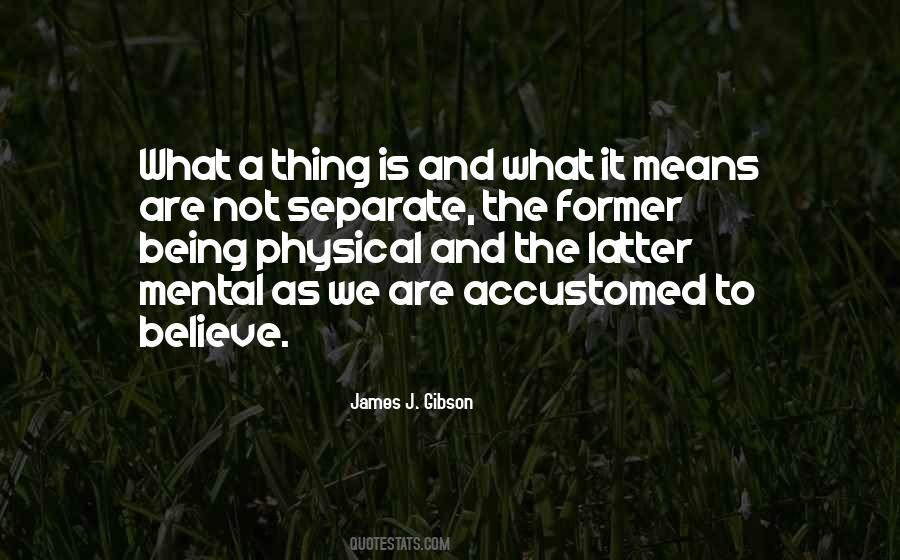 James J. Gibson Quotes #1326288