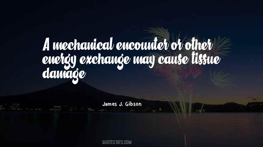 James J. Gibson Quotes #1677046