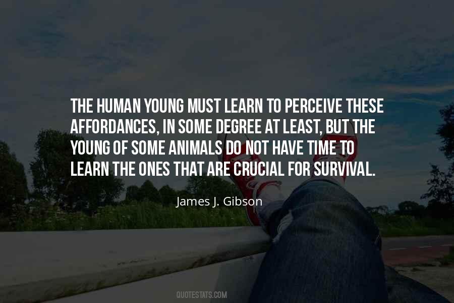 James J. Gibson Quotes #40822