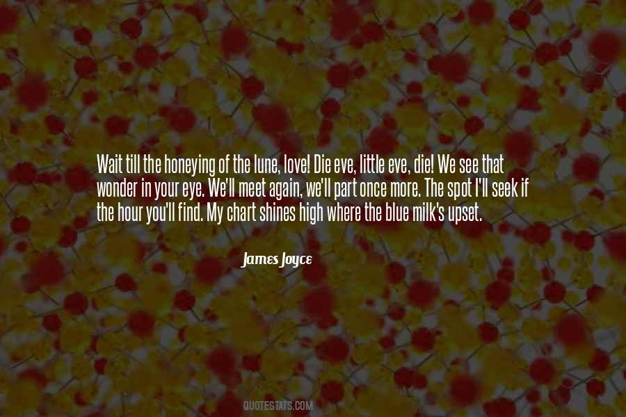James Joyce Quotes #553486