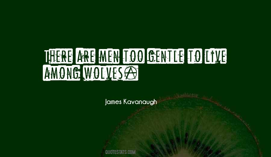 James Kavanaugh Quotes #1043170