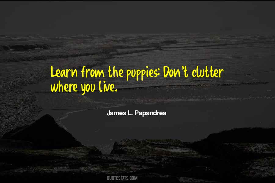James L. Papandrea Quotes #1719778