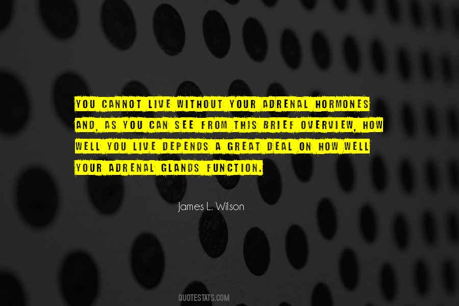 James L. Wilson Quotes #403624