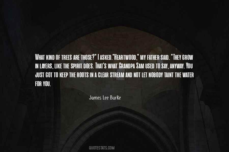 James Lee Burke Quotes #1644025