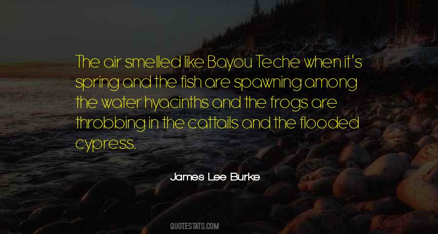 James Lee Burke Quotes #887006