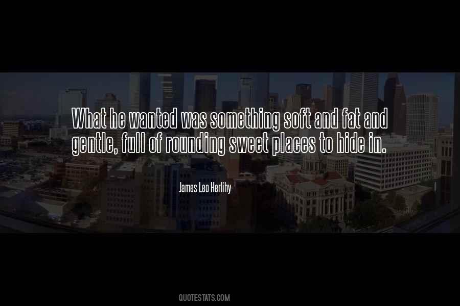 James Leo Herlihy Quotes #1617747 James Leo Herlihy Quotes #1617747