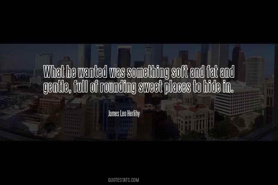 James Leo Herlihy Quotes #1617747