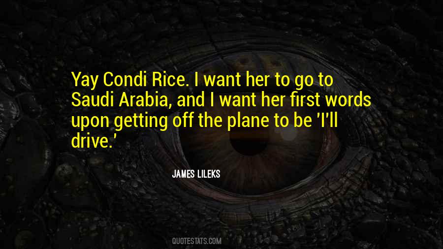 James Lileks Quotes #423912