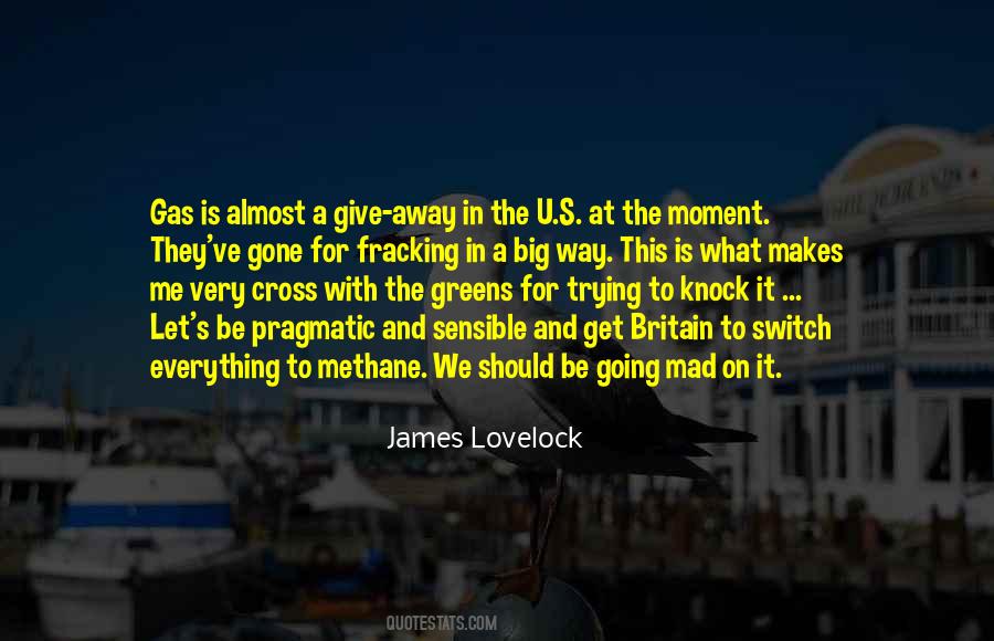James Lovelock Quotes #95968