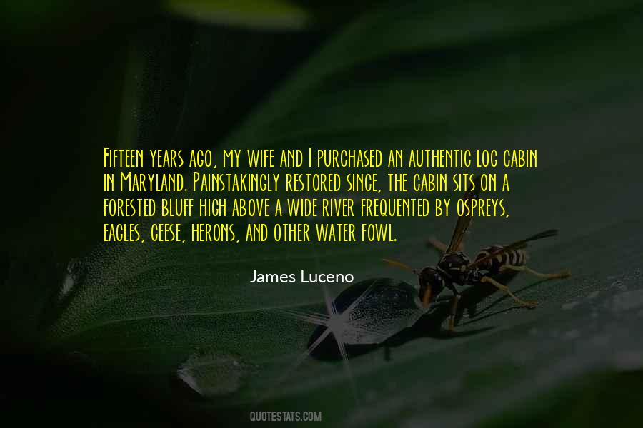 James Luceno Quotes #215148