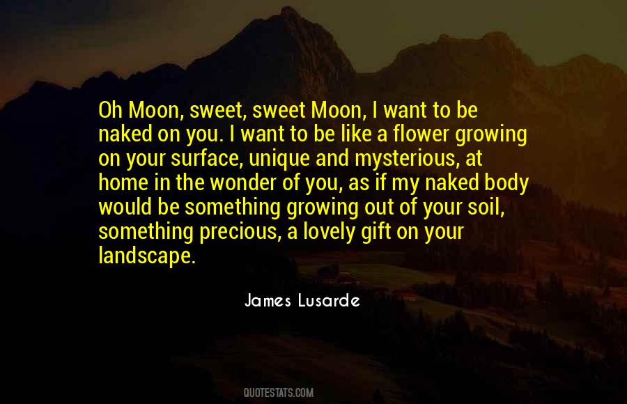 James Lusarde Quotes #734361