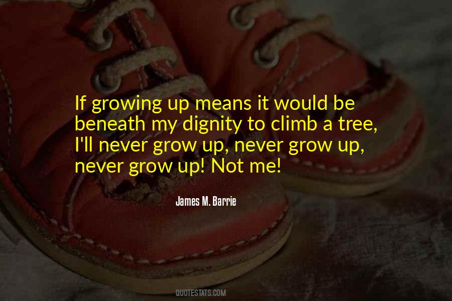 James M. Barrie Quotes #1462523