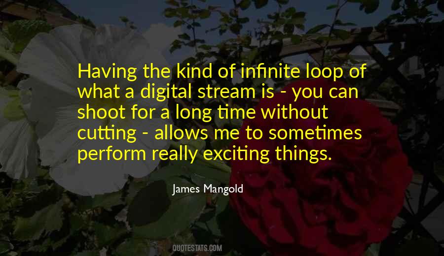 James Mangold Quotes #13716