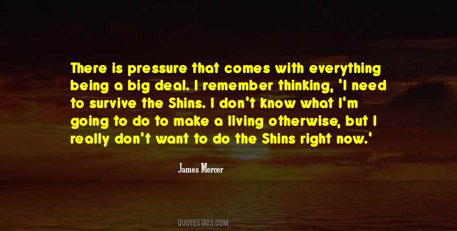 James Mercer Quotes #743 James Mercer Quotes #743