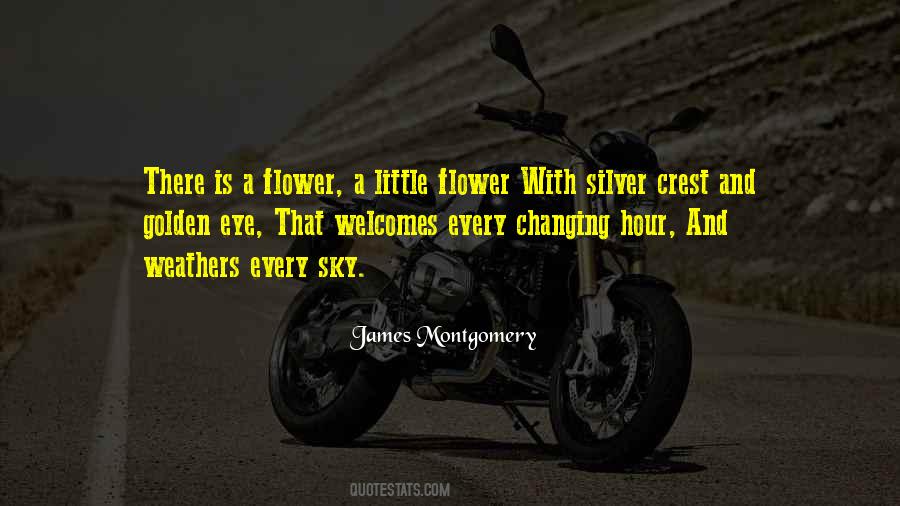 James Montgomery Quotes #1354092