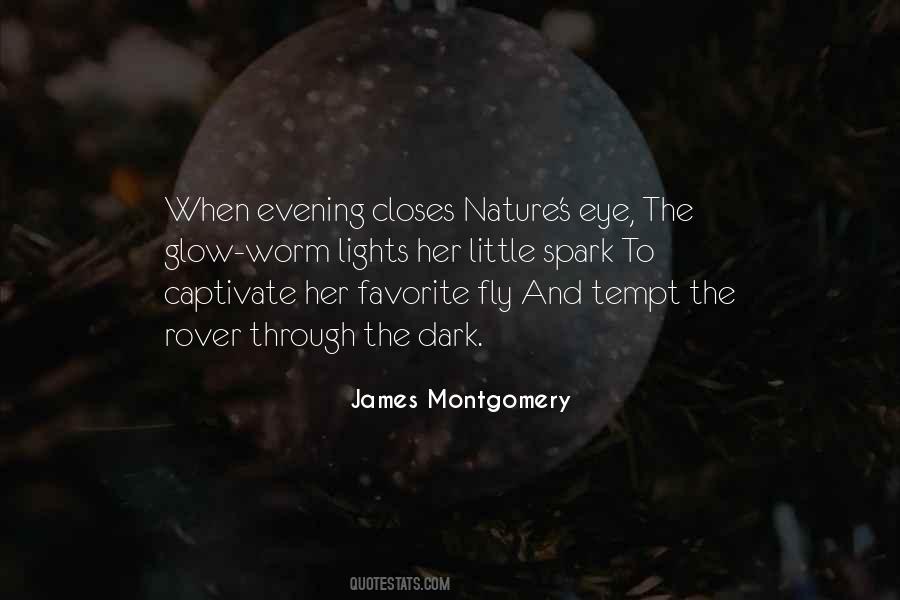 James Montgomery Quotes #580477