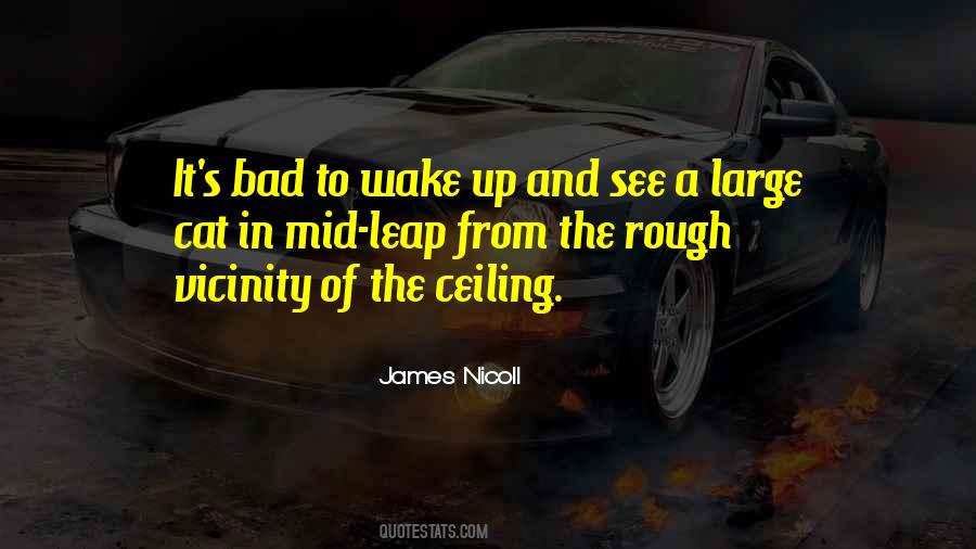 James Nicoll Quotes #1097947