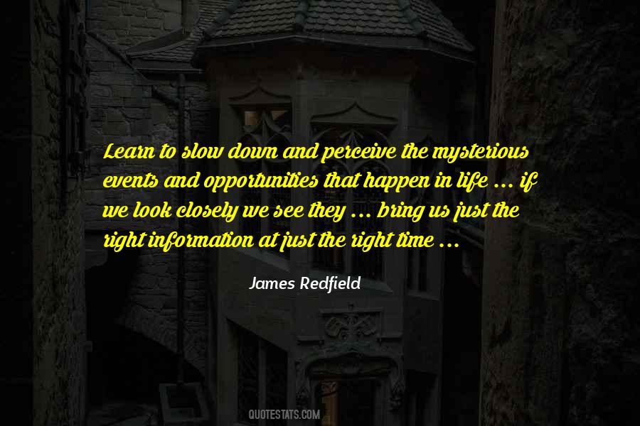 James Redfield Quotes #1206241