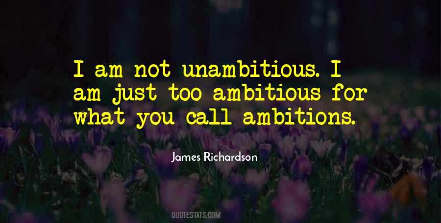 James Richardson Quotes #1617056