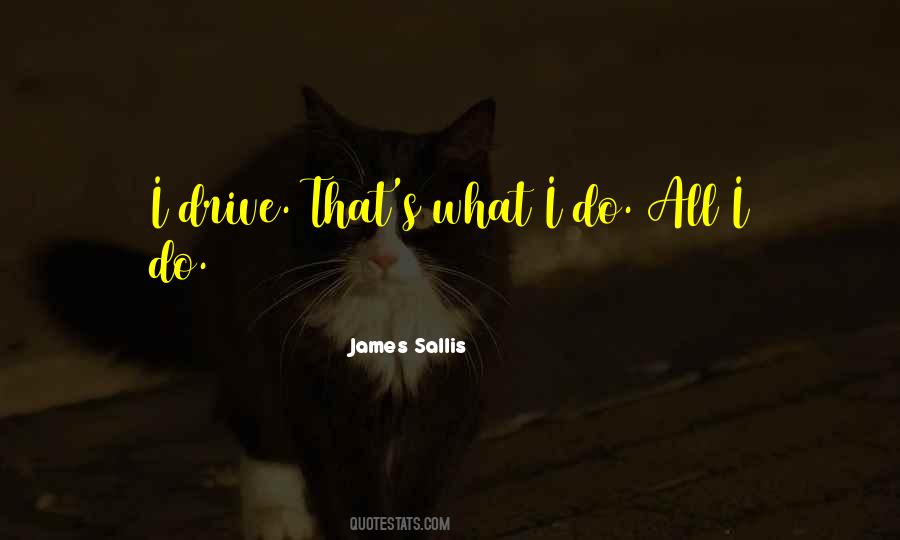 James Sallis Quotes #1143063