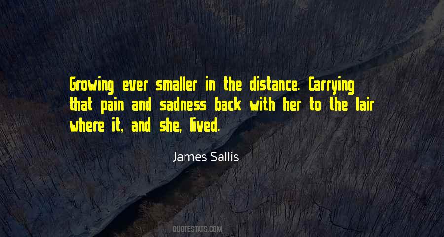 James Sallis Quotes #237977
