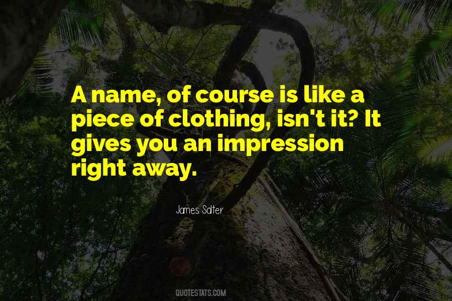 James Salter Quotes #1054160