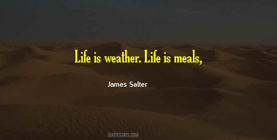 James Salter Quotes #1080002